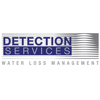 Detection Services