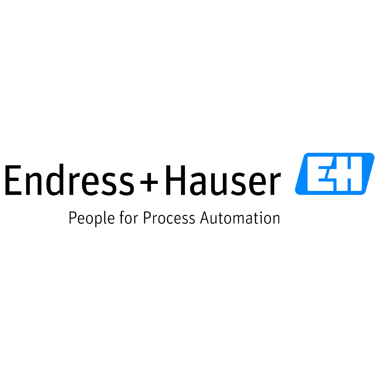 Endress+Hauser 